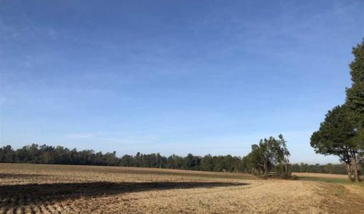 Photo of UNDER CONTRACT!!  350 Acres of Farm and Hunting Land For Sale in Columbus County NC!