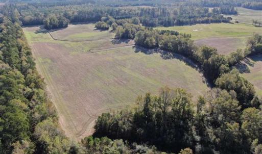 Photo of UNDER CONTRACT!!  350 Acres of Farm and Hunting Land For Sale in Columbus County NC!
