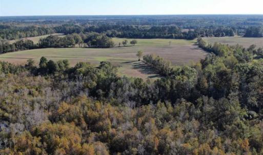 Photo of UNDER CONTRACT!!  350 Acres of Farm and Hunting Land For Sale in Columbus County NC!