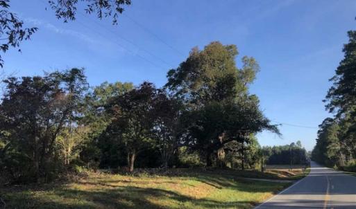 Photo of UNDER CONTRACT!!  350 Acres of Farm and Hunting Land For Sale in Columbus County NC!