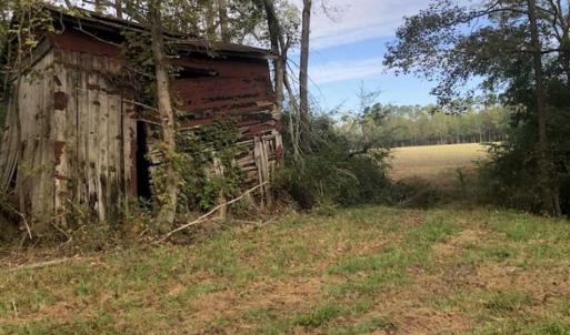 Photo of UNDER CONTRACT!!  350 Acres of Farm and Hunting Land For Sale in Columbus County NC!