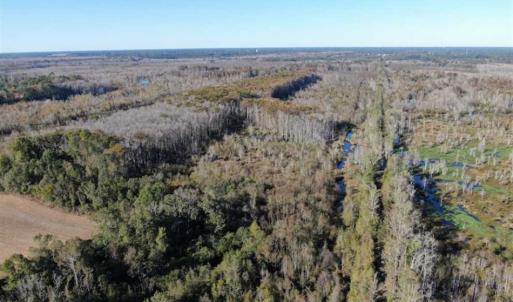 Photo of UNDER CONTRACT!!  350 Acres of Farm and Hunting Land For Sale in Columbus County NC!