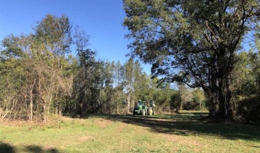 Photo of UNDER CONTRACT!!  350 Acres of Farm and Hunting Land For Sale in Columbus County NC!