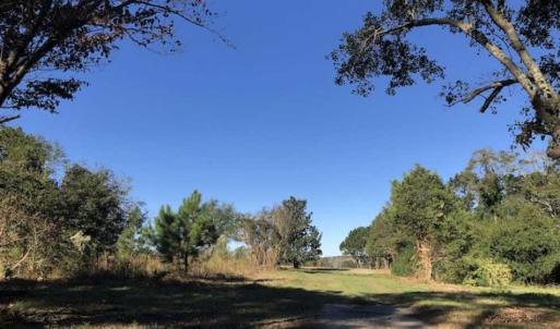 Photo of UNDER CONTRACT!!  350 Acres of Farm and Hunting Land For Sale in Columbus County NC!