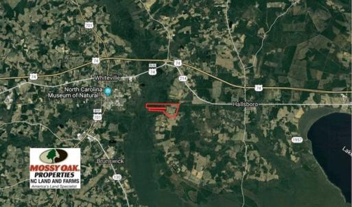 Photo of UNDER CONTRACT!!  350 Acres of Farm and Hunting Land For Sale in Columbus County NC!