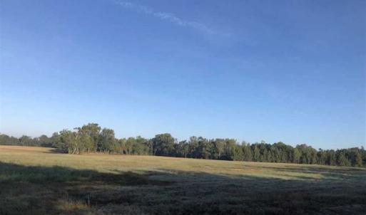 Photo of UNDER CONTRACT!!  350 Acres of Farm and Hunting Land For Sale in Columbus County NC!