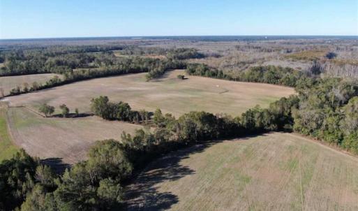 Photo of UNDER CONTRACT!!  350 Acres of Farm and Hunting Land For Sale in Columbus County NC!