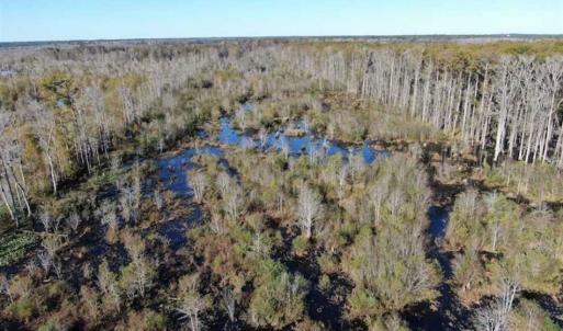 Photo of UNDER CONTRACT!!  350 Acres of Farm and Hunting Land For Sale in Columbus County NC!