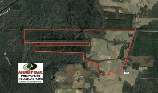 Photo of UNDER CONTRACT!!  350 Acres of Farm and Hunting Land For Sale in Columbus County NC!