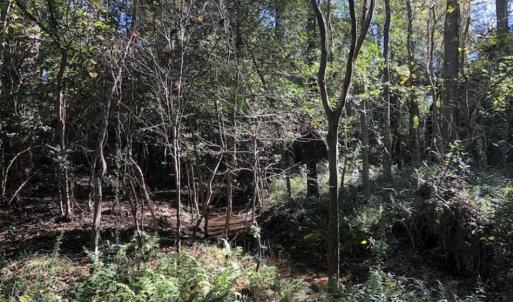 Photo of UNDER CONTRACT!!  350 Acres of Farm and Hunting Land For Sale in Columbus County NC!