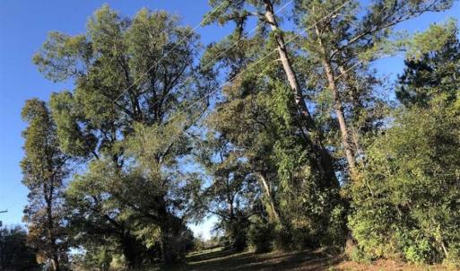 Photo of UNDER CONTRACT!!  350 Acres of Farm and Hunting Land For Sale in Columbus County NC!