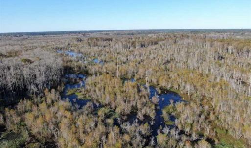Photo of UNDER CONTRACT!!  350 Acres of Farm and Hunting Land For Sale in Columbus County NC!
