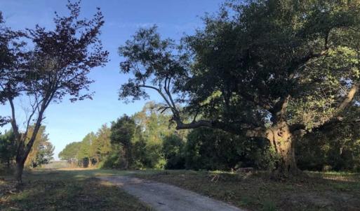 Photo of UNDER CONTRACT!!  350 Acres of Farm and Hunting Land For Sale in Columbus County NC!