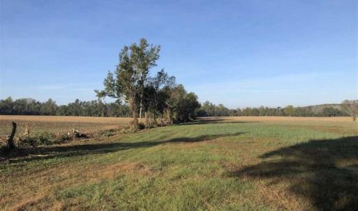 Photo of UNDER CONTRACT!!  350 Acres of Farm and Hunting Land For Sale in Columbus County NC!