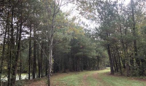 Photo of UNDER CONTRACT!!  350 Acres of Farm and Hunting Land For Sale in Columbus County NC!