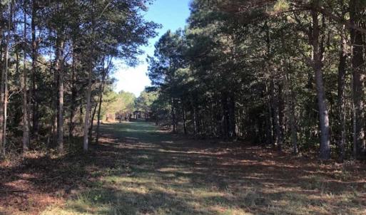 Photo of UNDER CONTRACT!!  350 Acres of Farm and Hunting Land For Sale in Columbus County NC!