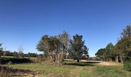 Photo of UNDER CONTRACT!!  350 Acres of Farm and Hunting Land For Sale in Columbus County NC!