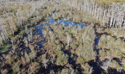 Photo of UNDER CONTRACT!!  350 Acres of Farm and Hunting Land For Sale in Columbus County NC!