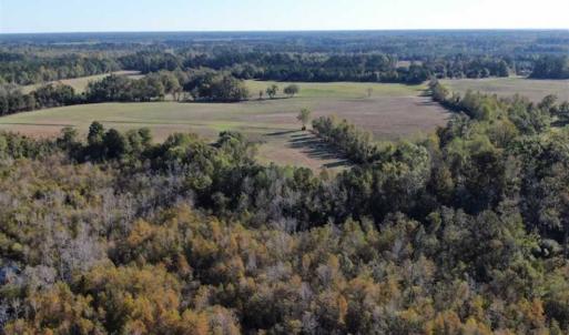 Photo of UNDER CONTRACT!!  350 Acres of Farm and Hunting Land For Sale in Columbus County NC!