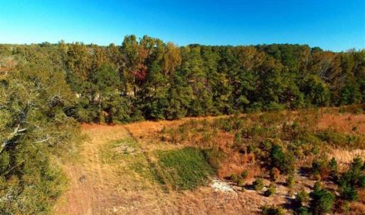 Photo of SOLD!!  58 Acres of Farm and Timber Land For Sale in Scotland County NC!