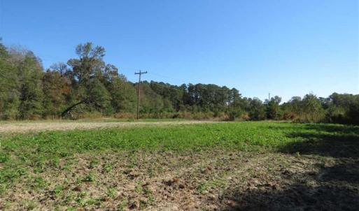 Photo of SOLD!!  58 Acres of Farm and Timber Land For Sale in Scotland County NC!