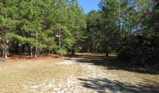 Photo of SOLD!!  58 Acres of Farm and Timber Land For Sale in Scotland County NC!