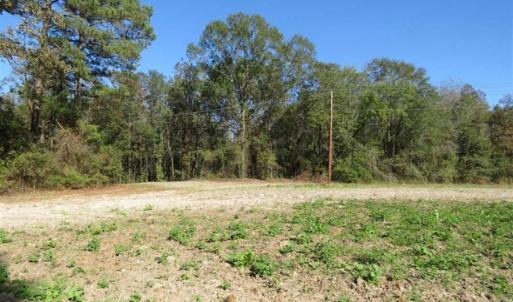 Photo of SOLD!!  58 Acres of Farm and Timber Land For Sale in Scotland County NC!