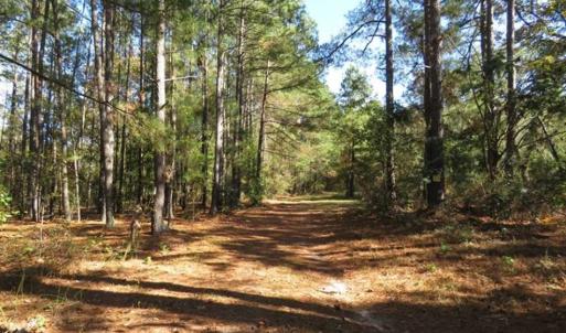 Photo of SOLD!!  58 Acres of Farm and Timber Land For Sale in Scotland County NC!