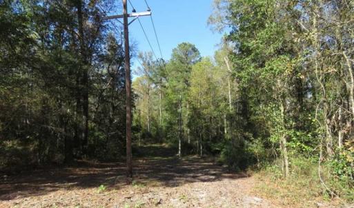 Photo of SOLD!!  58 Acres of Farm and Timber Land For Sale in Scotland County NC!
