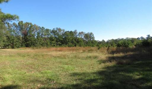 Photo of SOLD!!  58 Acres of Farm and Timber Land For Sale in Scotland County NC!