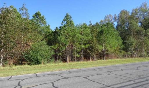 Photo of SOLD!!  58 Acres of Farm and Timber Land For Sale in Scotland County NC!