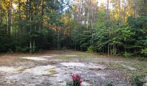 Photo of SOLD!!  2.19 Acre Lot Ready to Build in Washington County NC!