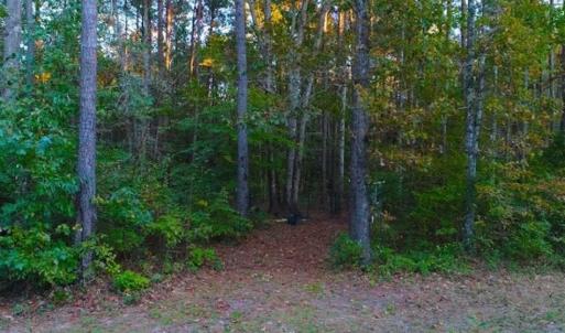 Photo of SOLD!!  2.19 Acre Lot Ready to Build in Washington County NC!