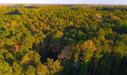 Photo of SOLD!!  2.19 Acre Lot Ready to Build in Washington County NC!