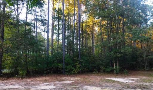 Photo of SOLD!!  2.19 Acre Lot Ready to Build in Washington County NC!