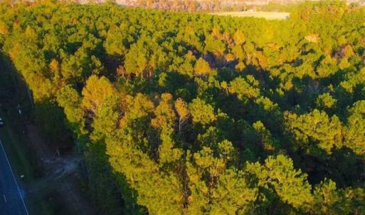 Photo of SOLD!!  2.19 Acre Lot Ready to Build in Washington County NC!