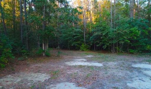 Photo of SOLD!!  2.19 Acre Lot Ready to Build in Washington County NC!