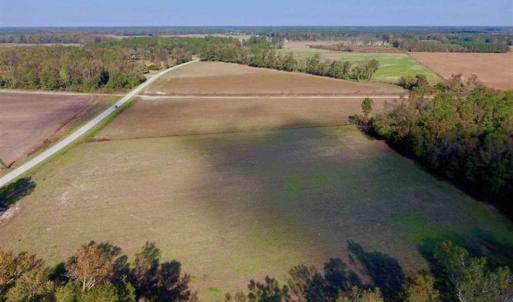 Photo of SOLD!!  164.75 Acres of Farm and Timber Land For Sale in Craven County NC!
