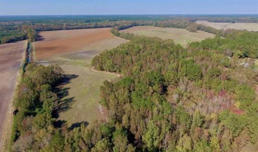 Photo of SOLD!!  164.75 Acres of Farm and Timber Land For Sale in Craven County NC!