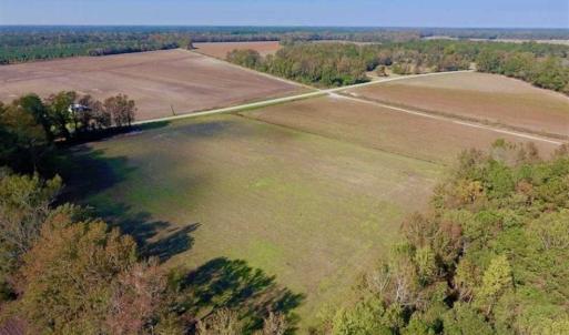 Photo of SOLD!!  164.75 Acres of Farm and Timber Land For Sale in Craven County NC!