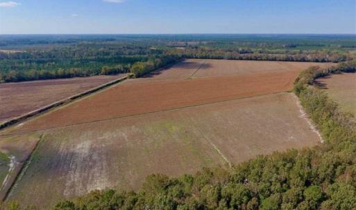 Photo of SOLD!!  164.75 Acres of Farm and Timber Land For Sale in Craven County NC!