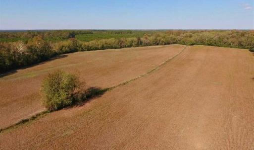 Photo of SOLD!!  164.75 Acres of Farm and Timber Land For Sale in Craven County NC!