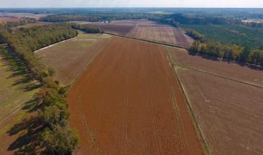 Photo of SOLD!!  164.75 Acres of Farm and Timber Land For Sale in Craven County NC!