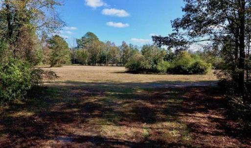 Photo of SOLD!!  164.75 Acres of Farm and Timber Land For Sale in Craven County NC!