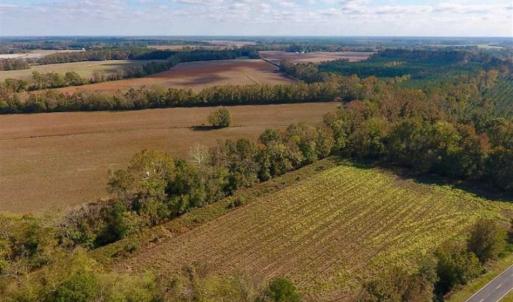 Photo of SOLD!!  164.75 Acres of Farm and Timber Land For Sale in Craven County NC!