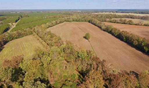 Photo of SOLD!!  164.75 Acres of Farm and Timber Land For Sale in Craven County NC!