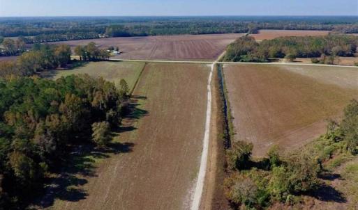 Photo of SOLD!!  164.75 Acres of Farm and Timber Land For Sale in Craven County NC!