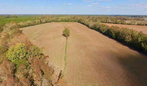 Photo of SOLD!!  164.75 Acres of Farm and Timber Land For Sale in Craven County NC!