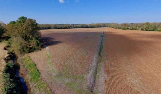 Photo of SOLD!!  164.75 Acres of Farm and Timber Land For Sale in Craven County NC!
