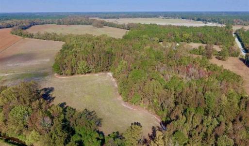 Photo of SOLD!!  164.75 Acres of Farm and Timber Land For Sale in Craven County NC!
